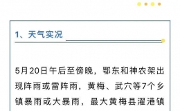 暴雨、大暴雨！这波太猛，蔡甸人请提请准备