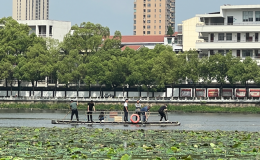专家助力守护蔡甸千年莲藕品种纯正“血统”