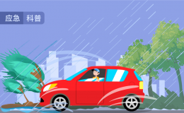 @蔡甸人，大雨今晚抵达！早点回家