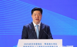 双向奔赴！大湾区龙头企业持续加码蔡甸智能制造产业