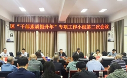 蔡甸区召开 “干部素质提升年” 专项工作小组第二次会议