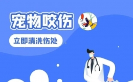 安全提示 | “人人讲安全，个个会应急”防灾减灾安全知识（九）