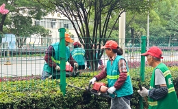市民舒心，蔡甸城市门户“美颜”升级