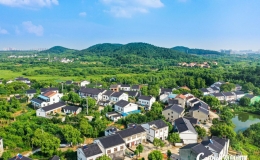 新华社综述文章推介蔡甸黄虎村：文明创建绘就乡村振兴新图景