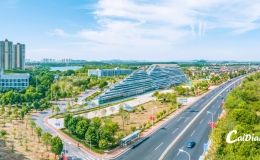 2025武汉投资促进大会举行  蔡甸区两大国际合作平台向全球推介