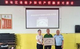 “知产”变“资产” 蔡甸消泗乡举办知识产权融资对接会助力乡村振兴