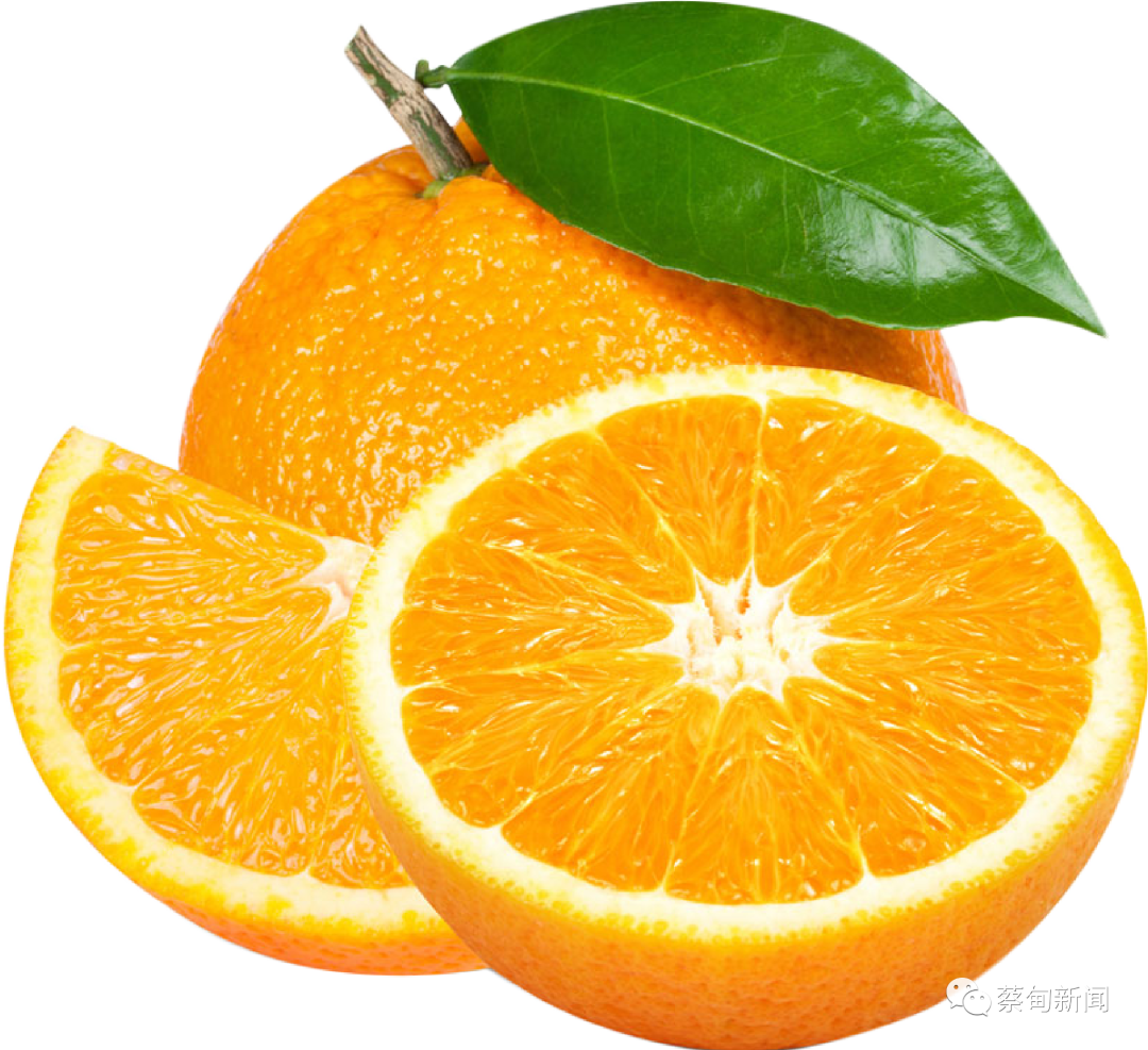 205253g95575527ggg5ty5.png
