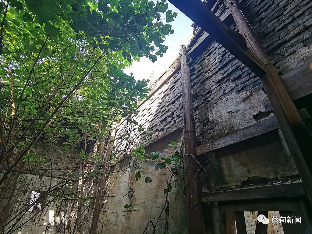 115420k066rfc99np0p06j.jpeg
