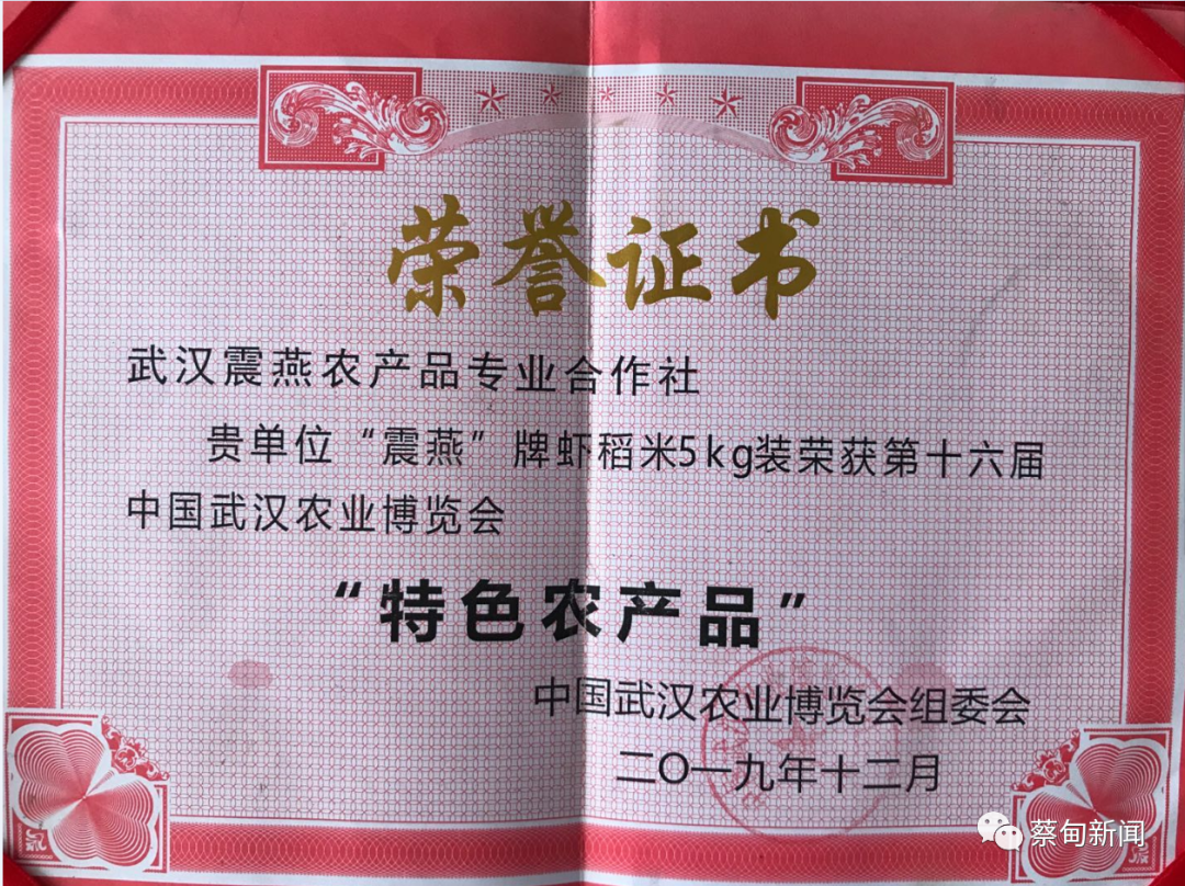 120605wz2ppt26zowpwwy9.png