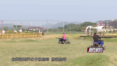 165316we8snn6te8azhn5j.gif