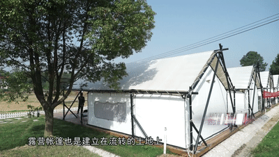 165317c8od53e59ze1rcz1.gif