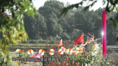 165317xdvmgrsjytzjtc5m.gif