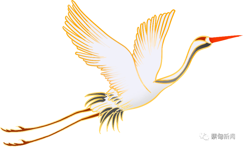 201541pb28i8t98qtwft9f.png