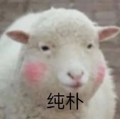 095056g9ykpd1dnp63197o.jpeg