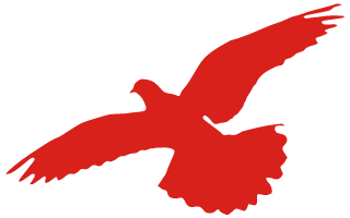 164544qivjyf6l49z4696v.png