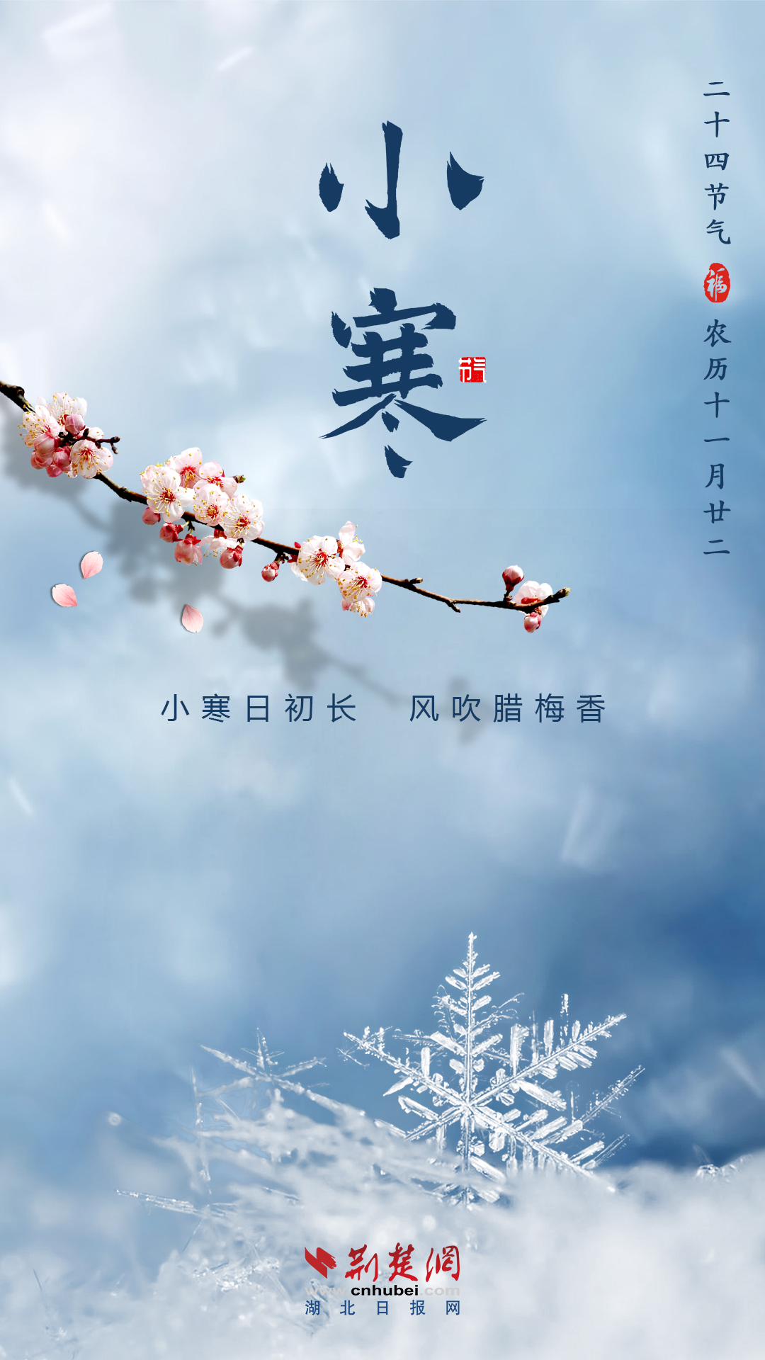 102246cyinrjytry8tpnio.png