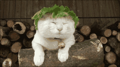 111023ws0kikdjklnbblnd.gif