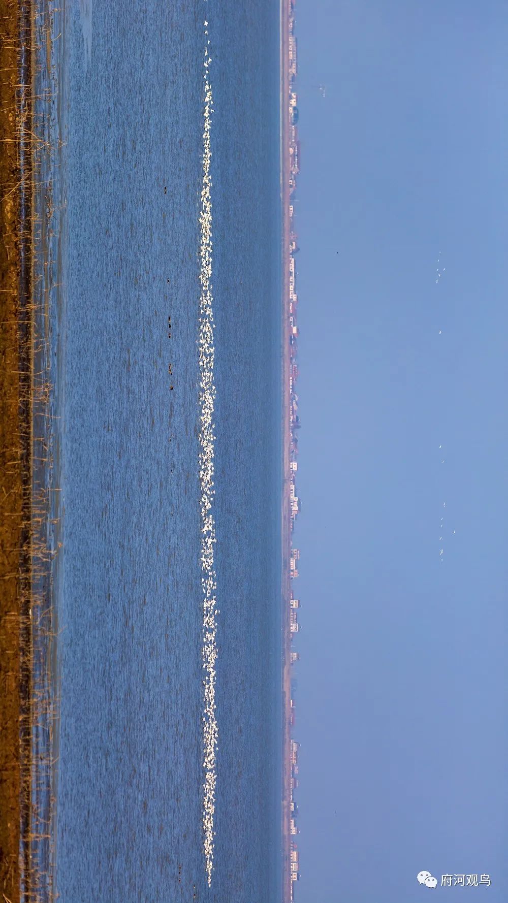 112536jl0203v2uvn21w22.jpeg