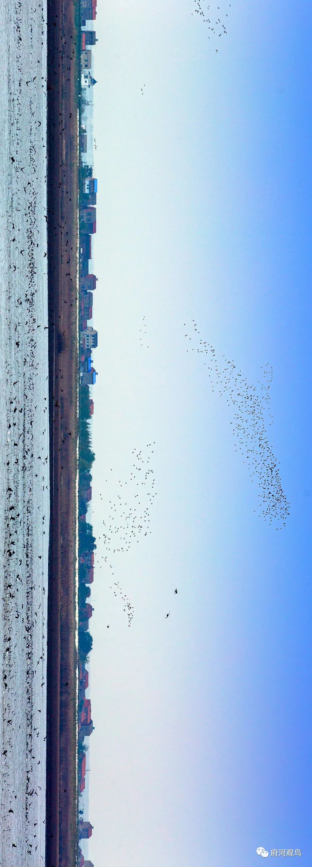 112536md1f7vltrc104rf7.jpeg