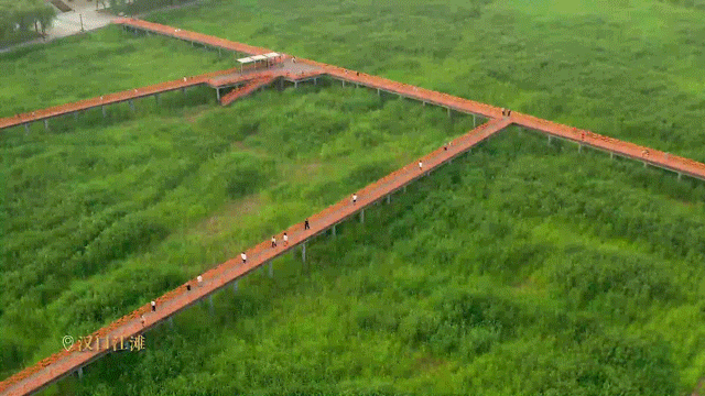 110831dhttzehirvt0hti8.gif