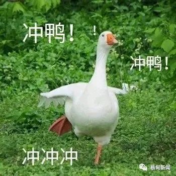 160623lj7ssi64oh22o2hm.jpeg
