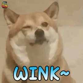175144i5fxl5gb9gbjhxgl.gif