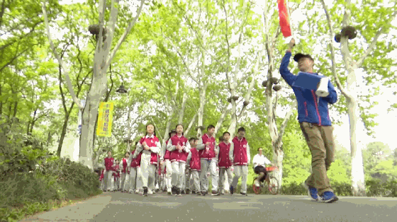 151318a868vfzwp8fvwgd4.gif