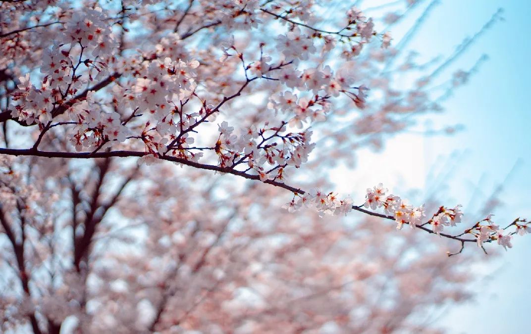 175753l7277s6xrd2sxj74.jpeg