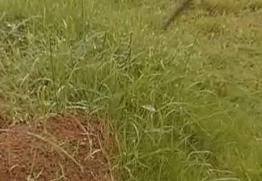 083027cxm48mhumyxk8hu8.gif