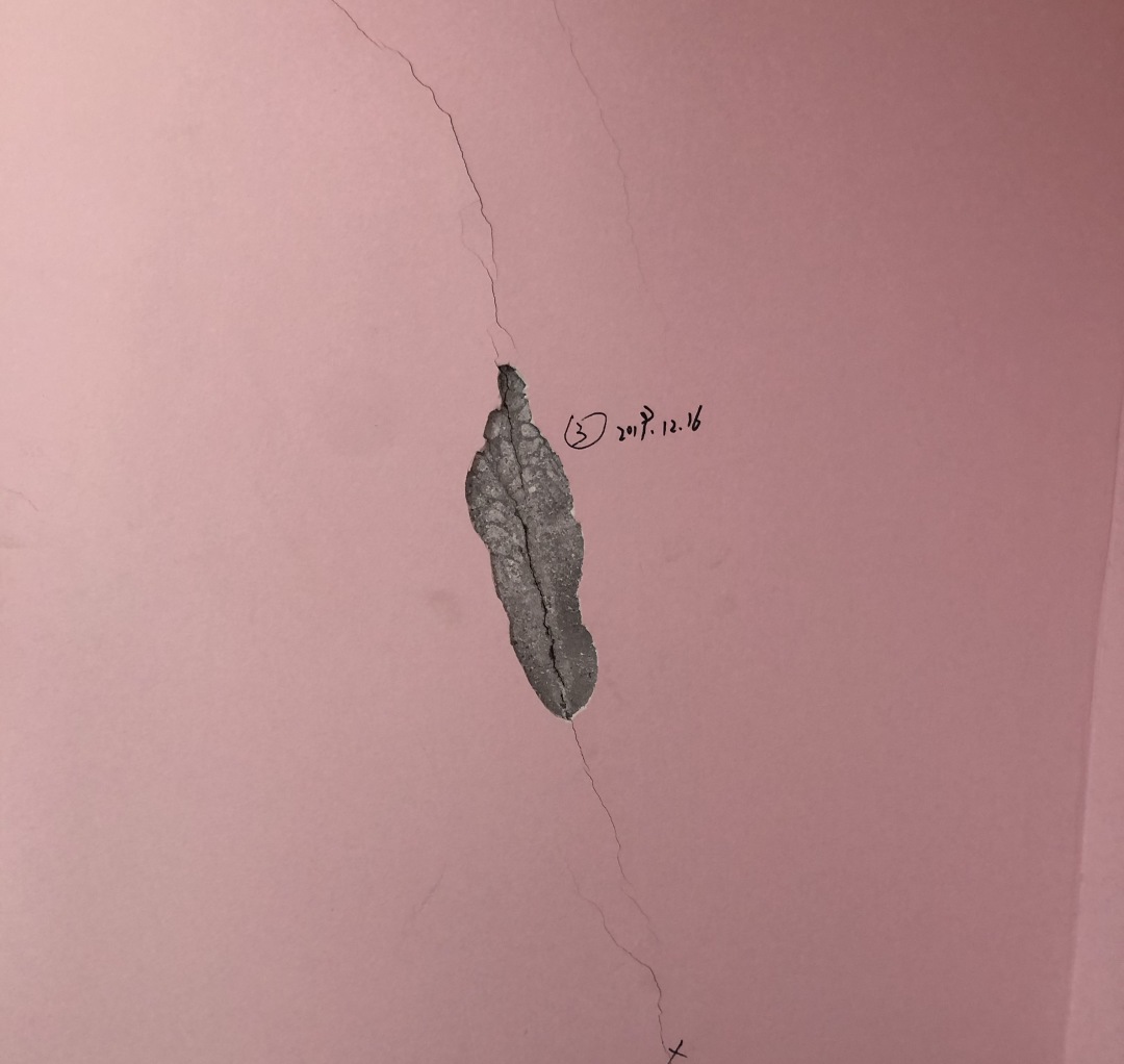 212025ug99he6ixg9hvu9g.jpg