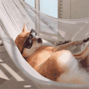191537e9cgsl94y6by5y9s.gif