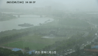 172832ff111lnnhelwl0dl.gif