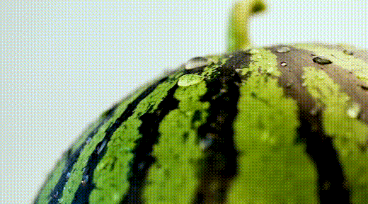 201405l2x5svo5ckttztv3.gif