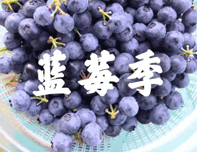 214734qtua7phu2mqsqyip.gif