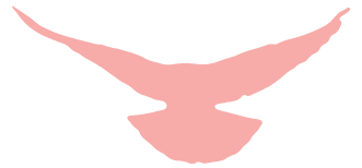 164838j64e5e88zml4azy5.png