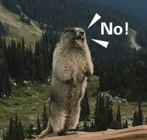 115013e88brb86zw5ob5z8.gif
