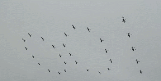 171711p20idfdfvvihgv0v.gif