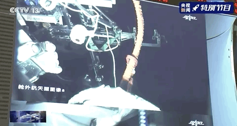 121800f8q48841gq1yxooy.gif