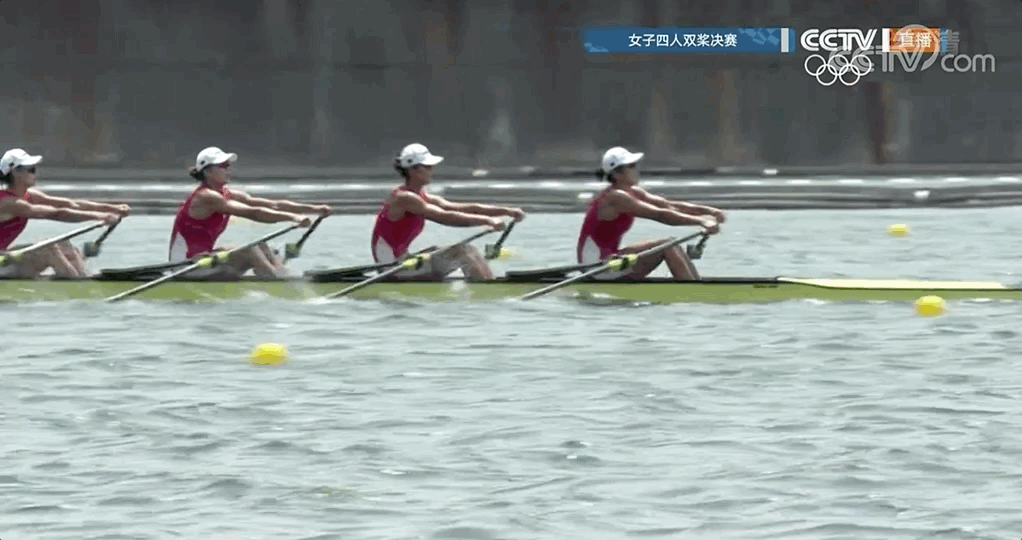 164425p4z335ypnqpnyz4z.gif