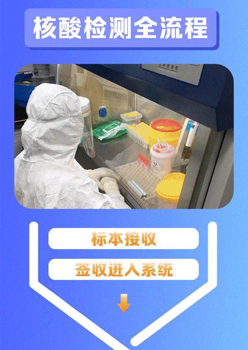 222233yp20hphyul94l0mf.gif