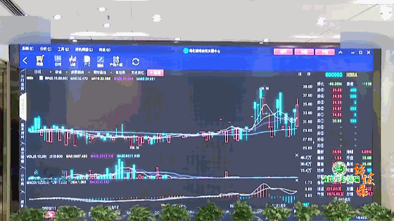 183419rr9emv9e59jrdds1.gif