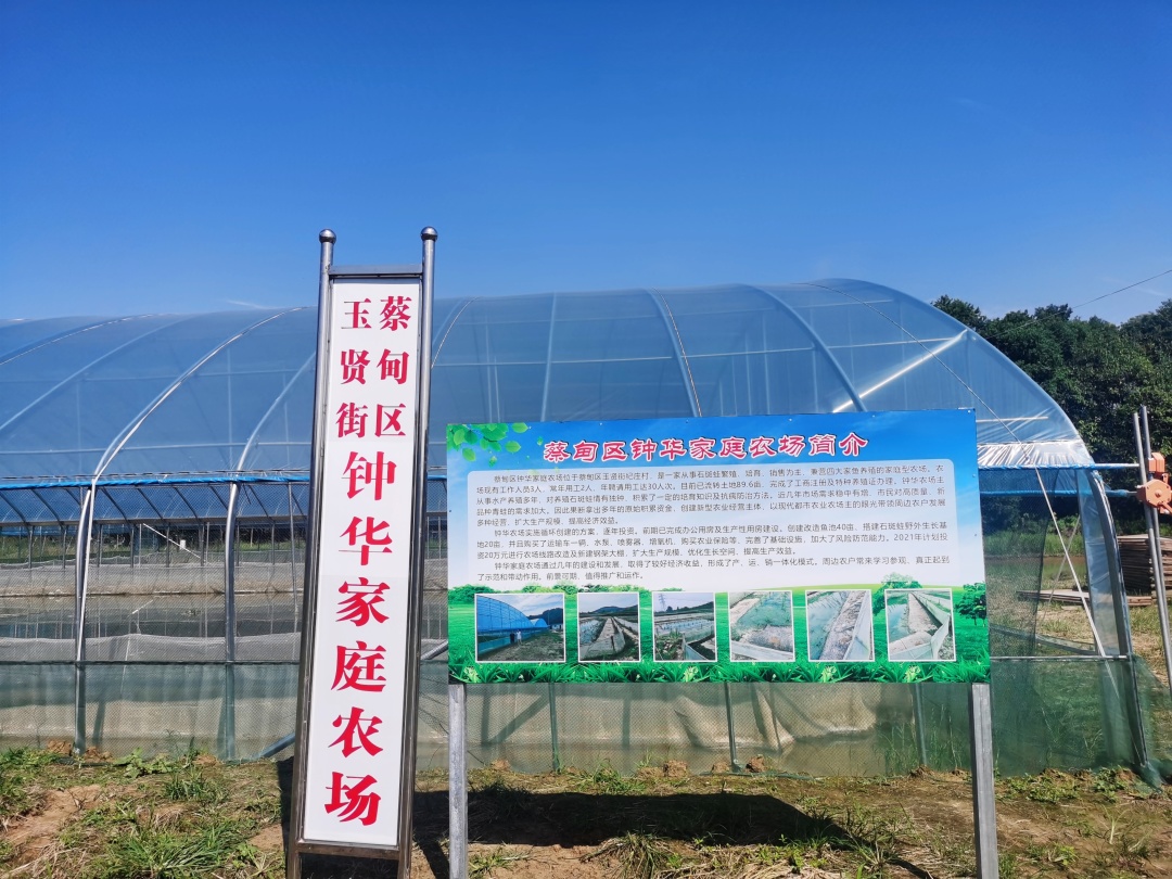 161339qsb1eto5gbalz5wu.jpg