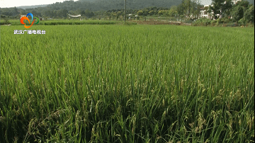 202240xue7a373a3g40ed7.gif