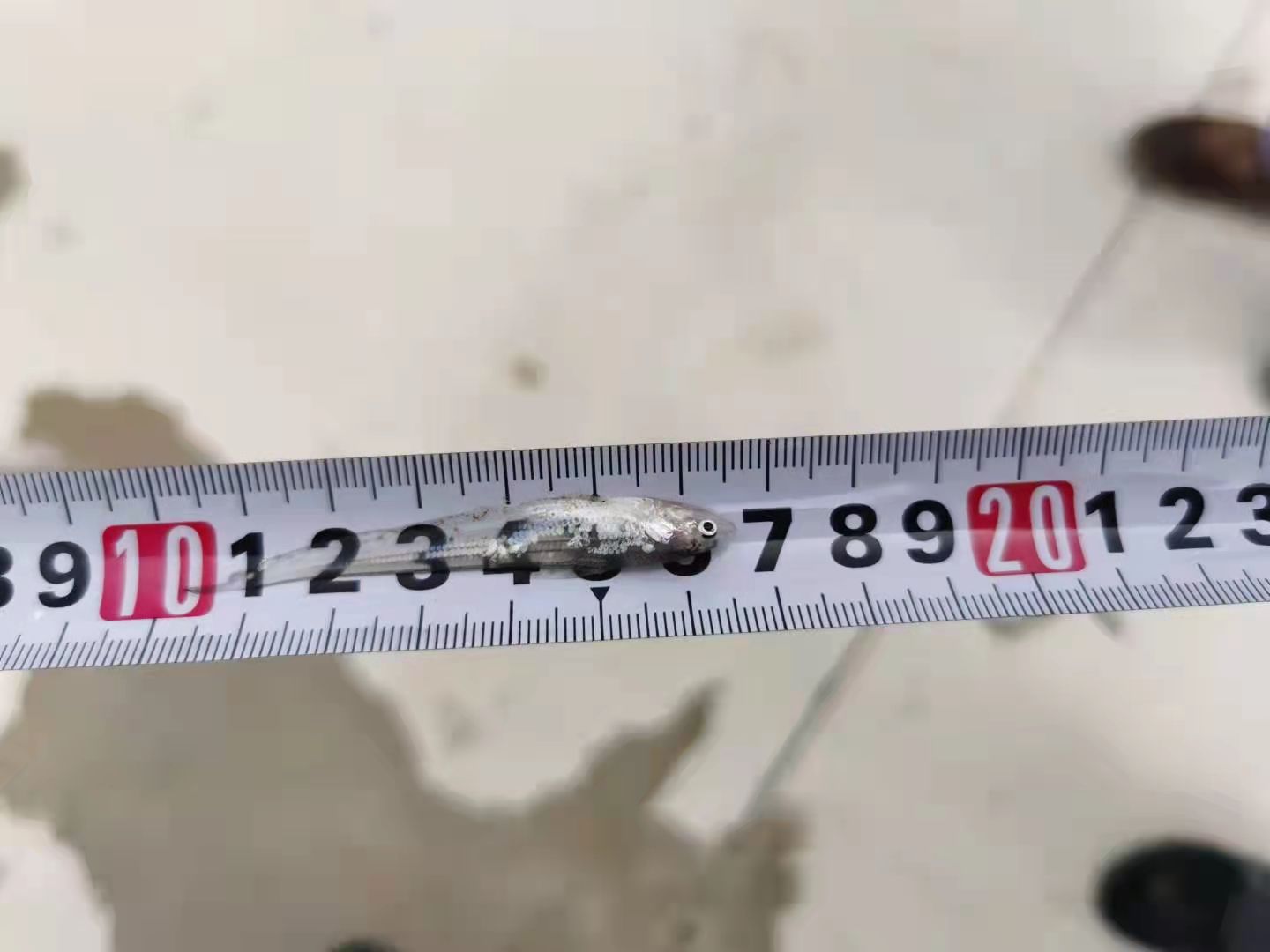 微信图片_20210922114152.jpg