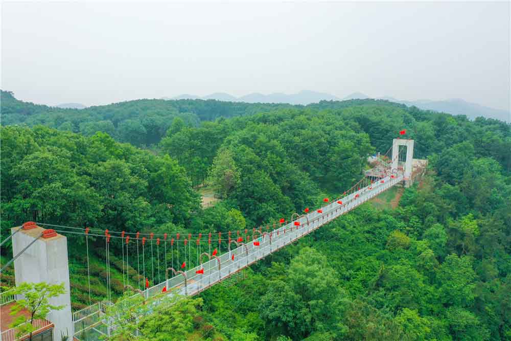 DJI_0879.jpg