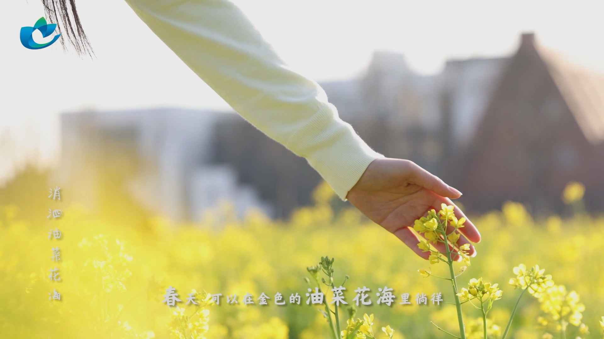 完整版台标角标.mp4.00_01_07_22.Still016.jpg