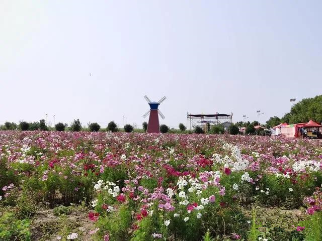 微信图片_20211008091027_副本.jpg