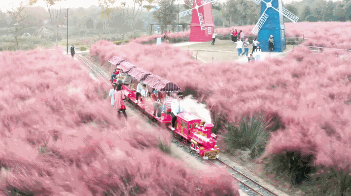 124851v91bqbj65741j0ti.gif