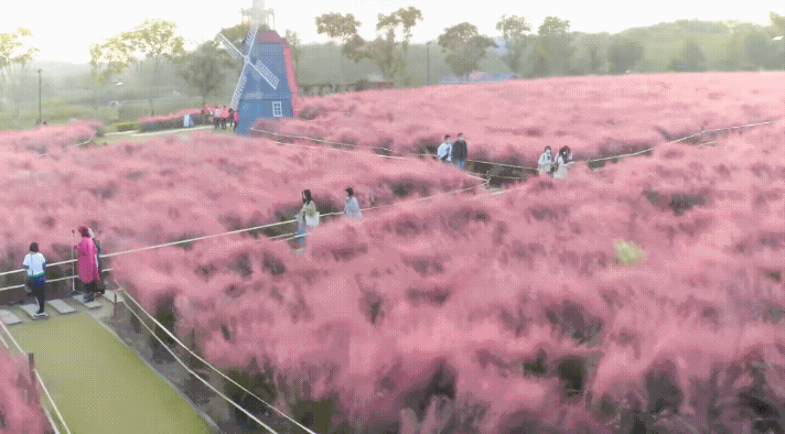 124851ylatabzebhke1jpp.gif