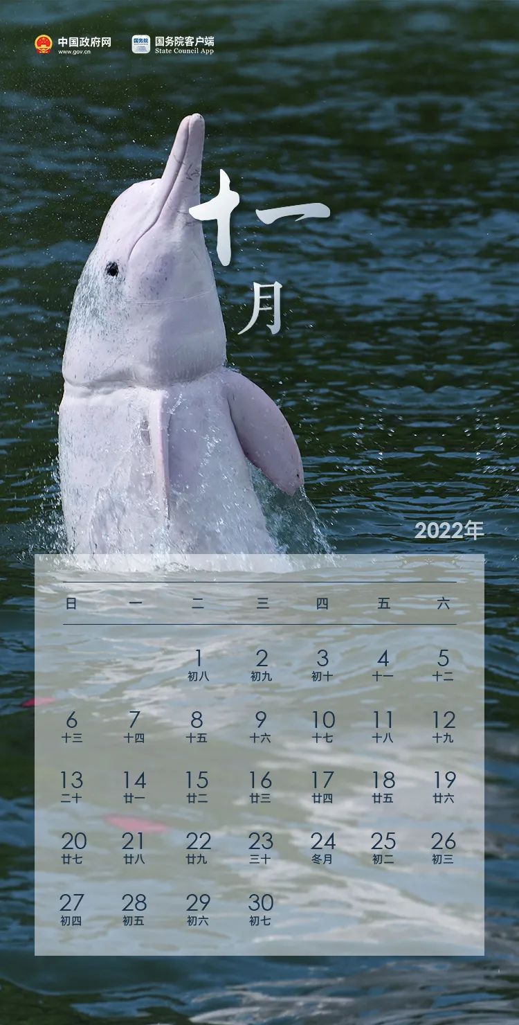 083520eoch6z59uc71ub9h.jpeg